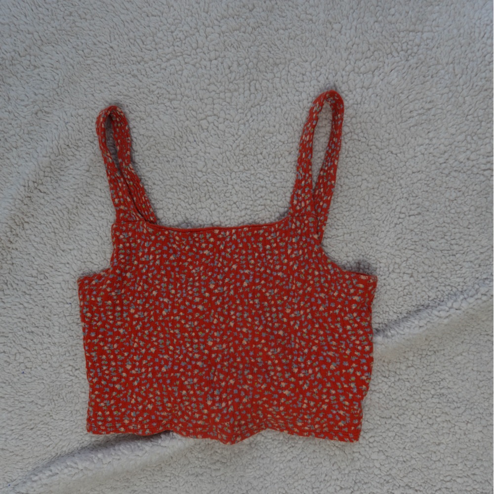 American Eagle Outfitters Red Patterned Crop Top